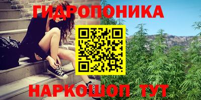 дмт Лесосибирск